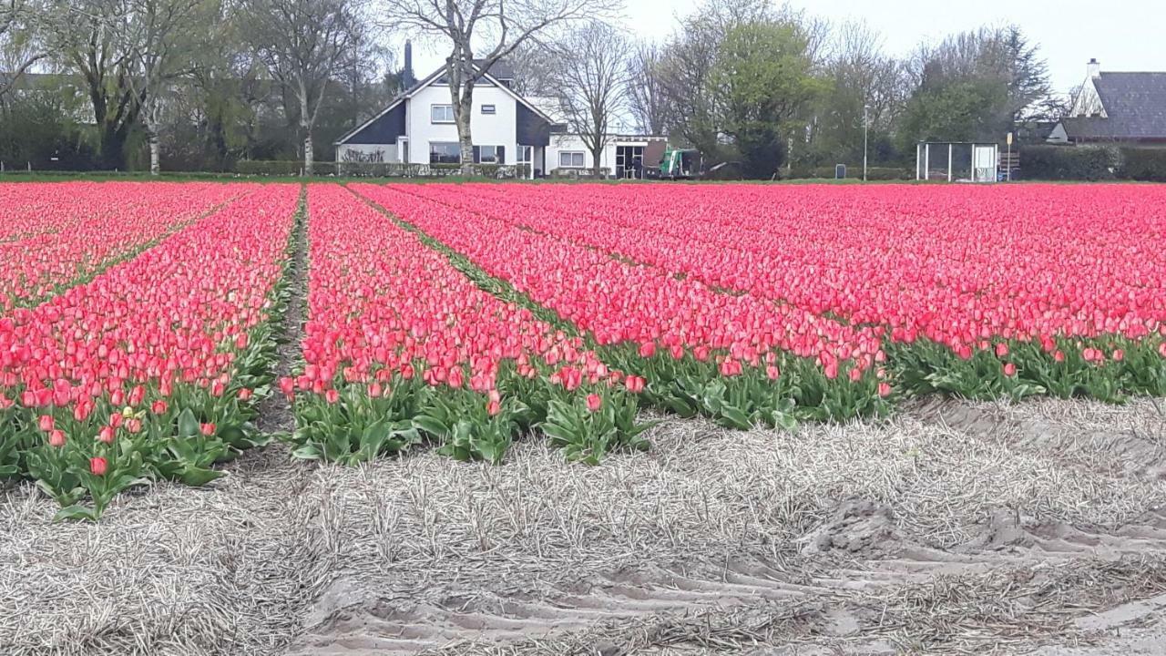 Willa Vrijstaande Blokhut Egmond-Binnen Zewnętrze zdjęcie