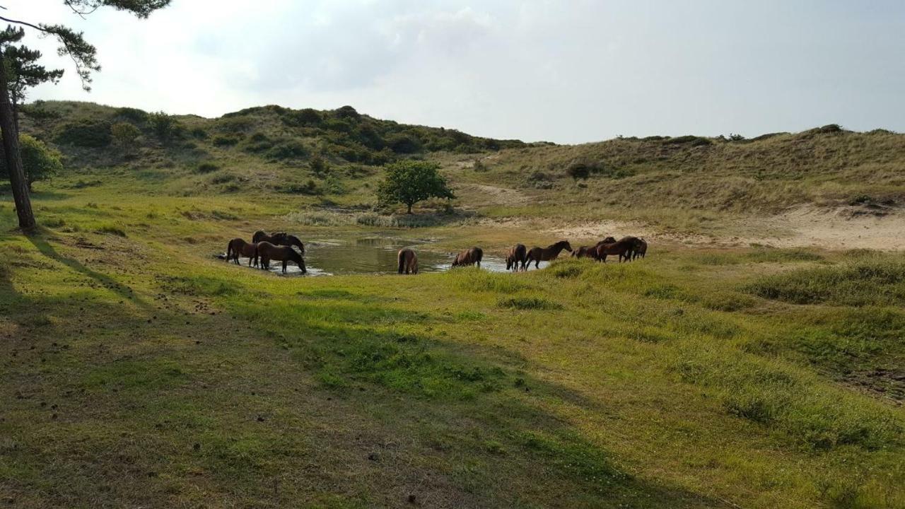 Willa Vrijstaande Blokhut Egmond-Binnen Zewnętrze zdjęcie