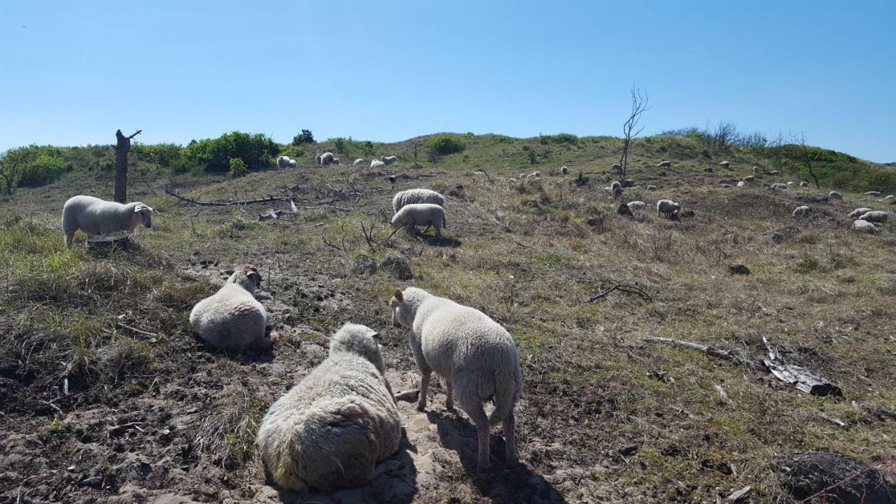 Willa Vrijstaande Blokhut Egmond-Binnen Zewnętrze zdjęcie