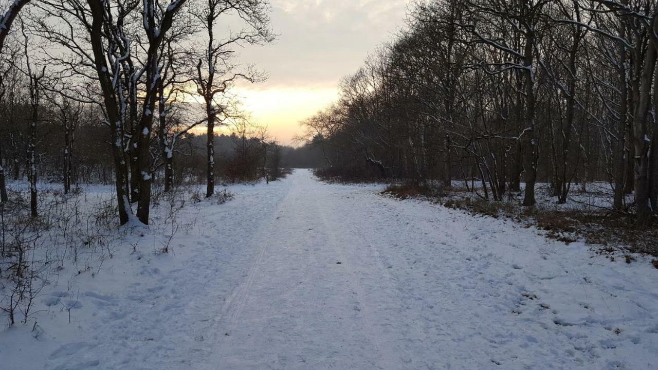 Willa Vrijstaande Blokhut Egmond-Binnen Zewnętrze zdjęcie