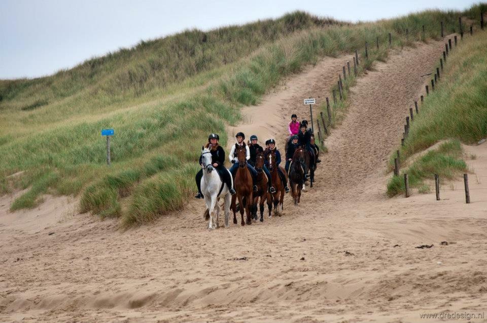 Willa Vrijstaande Blokhut Egmond-Binnen Zewnętrze zdjęcie
